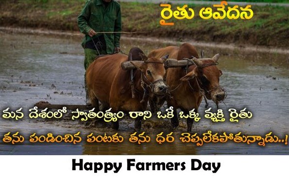 Farmer Day Quotes