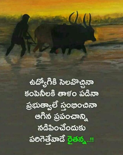 farmers-day-quotes-in-telugu